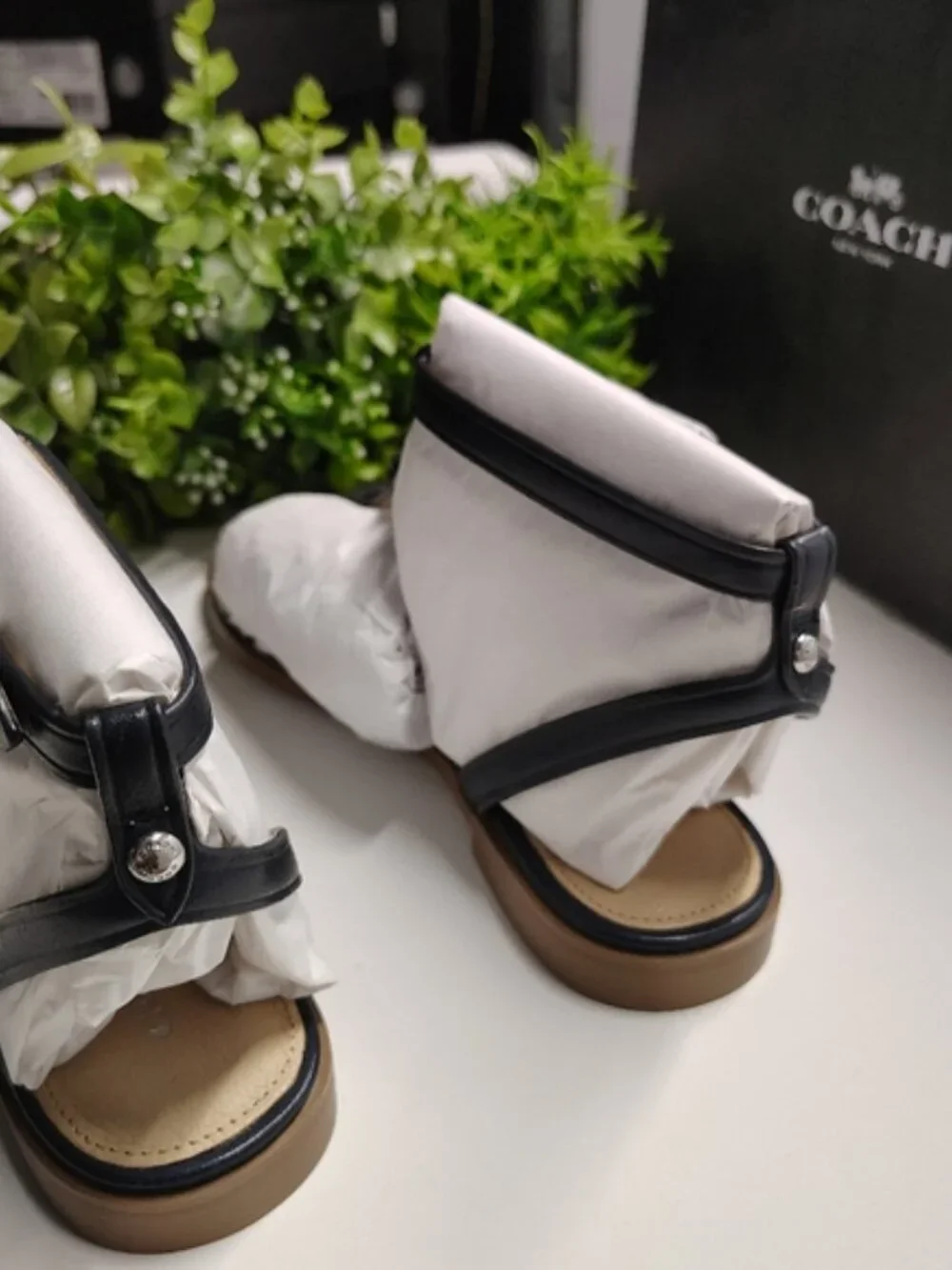 Coach henriette floral